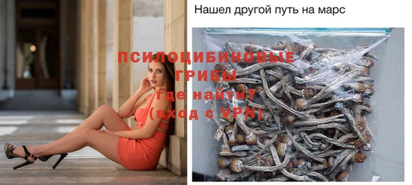 твердый Кинешма