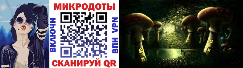 Купить закладки  Карасук  Галлюциногенные грибы мицелий 